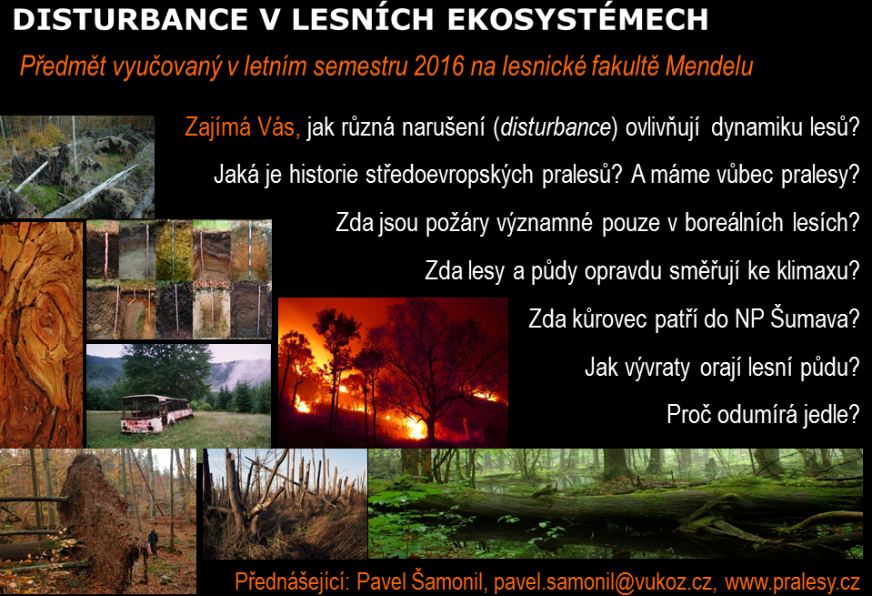 Disturbance v lesních ekosystémech disturbance 2017